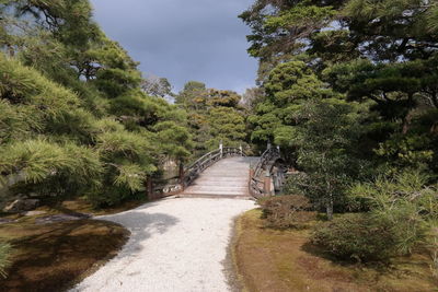 Footpath amidst trees against sky