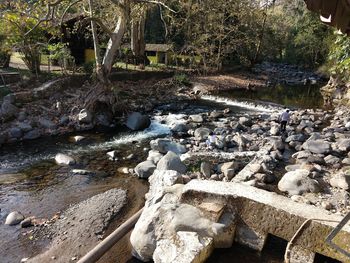 Aerial view of waterfall in forest