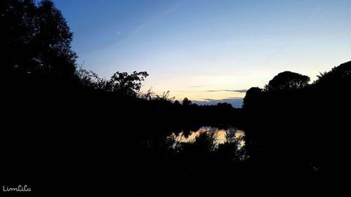 Silhouette of trees at sunset