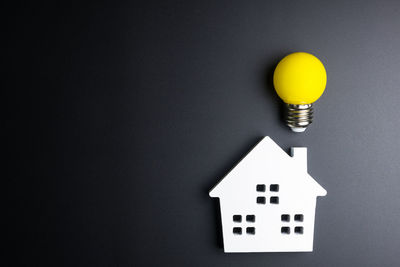 Close-up of light bulb with model home on black background