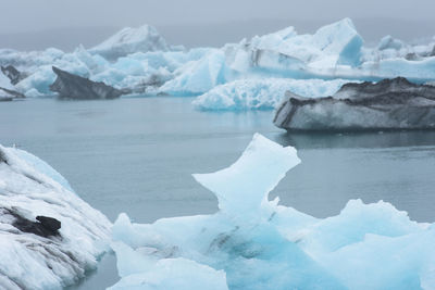 Melting icebergs as a result of global warming floating in jokulsarlon lagoon. iceland