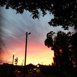 Low angle view of silhouette trees against sky at sunset