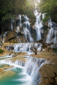 Scenic view of waterfall in forest