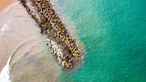 Aerial view of tetrapods in sea