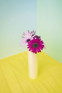 Close-up of flower against white background