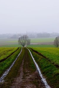 View of rural landscape