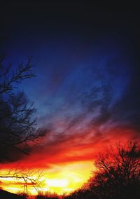 Silhouette trees against sky at sunset