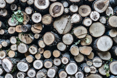 Full frame shot of firewood