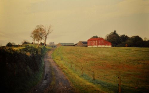 View of trees on field