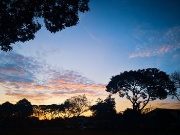 Low angle view of silhouette trees against sky during sunset