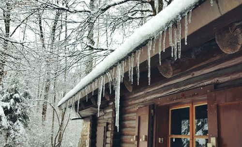 Houses in winter