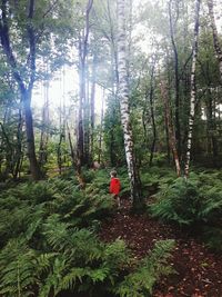 Man amidst trees in forest