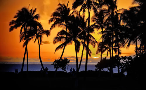 Silhouette palm trees against sky during sunset