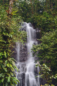 Scenic view of waterfall in forest