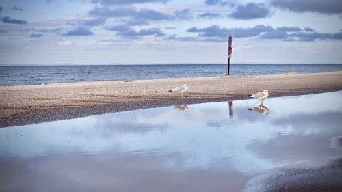 Scenic view of beach against sky