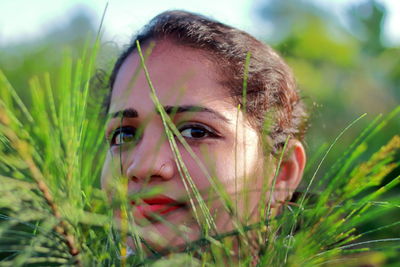 The face of a beautiful indian young woman behind the leaves of trees