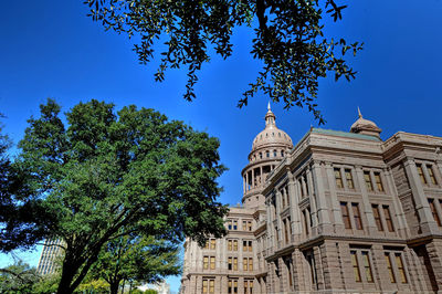 Low angle view of trees and building against blue sky