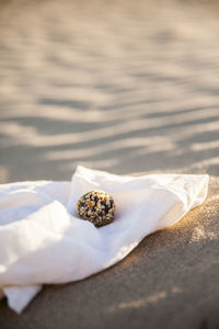 Raw hazelnut energy ball placed on a napkin on a beach