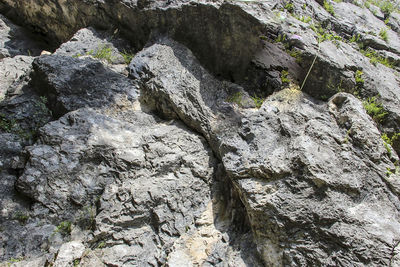 Low angle view of rock formation on land