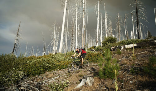 Low angle view of man cycling on field against bare trees