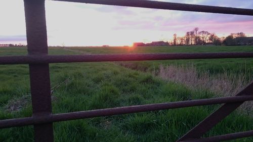 Scenic view of field against sky during sunset