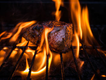 Close-up of meat on bonfire