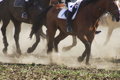 Low section of people riding horse in ranch