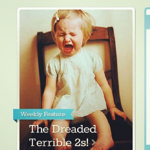 Terrible2