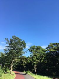 Road amidst trees against clear blue sky