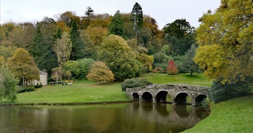 Arch bridge over lake against trees during autumn