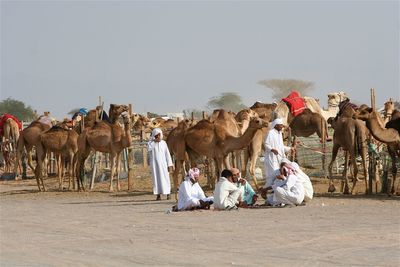 Panoramic view of people sitting against sky