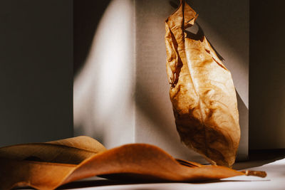 Close-up of dry leaves on table at home