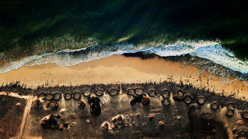 Aerial view of sea shore