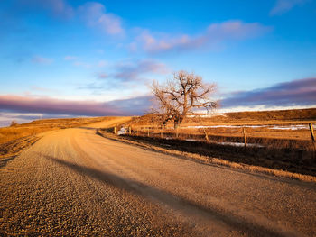 Road amidst bare trees on field against sky