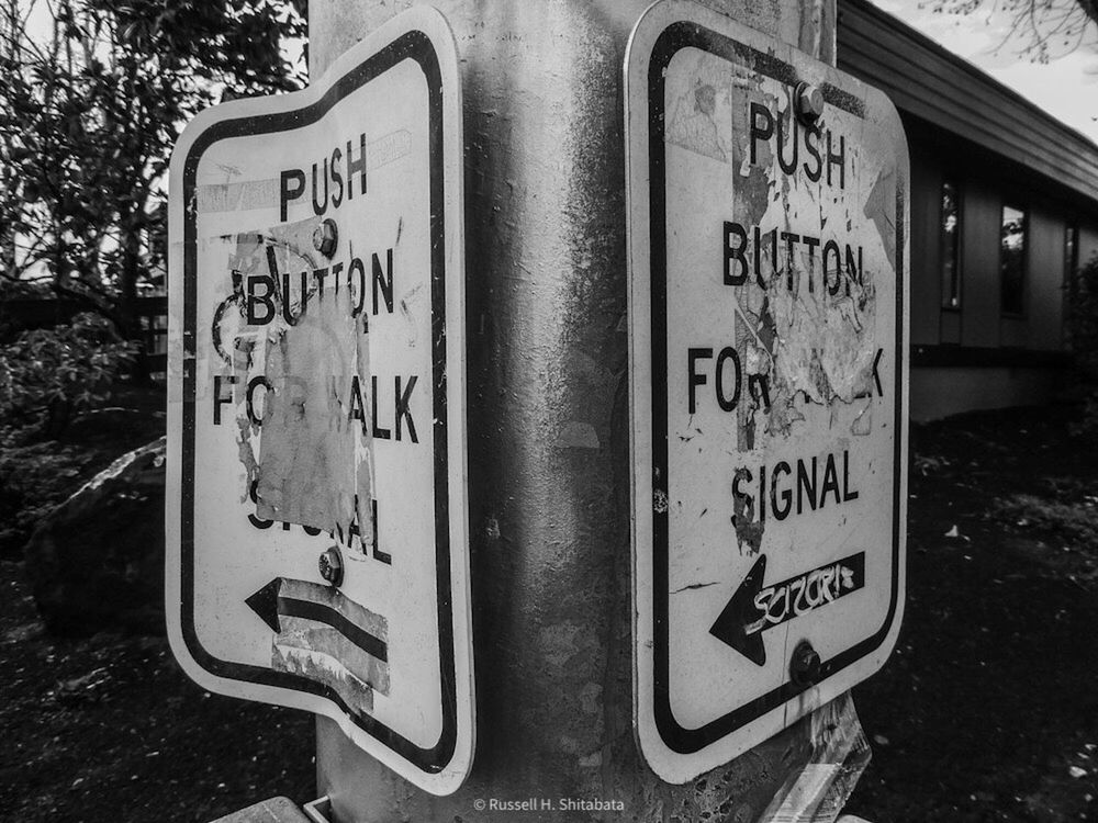 text, communication, western script, black and white, sign, black, monochrome photography, monochrome, no people, road, day, information sign, street, guidance, lane, street sign, outdoors, tree, white, script