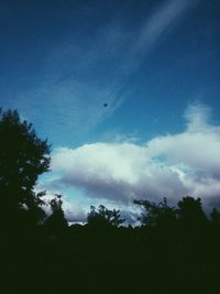 Low angle view of silhouette trees against sky