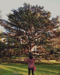 Rear view of man standing by tree against sky