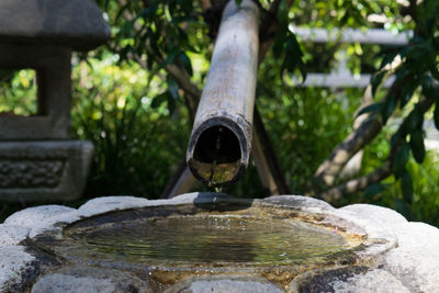 Close-up of bamboo fountain at japanese garden