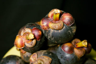 Close-up of fruits against black background