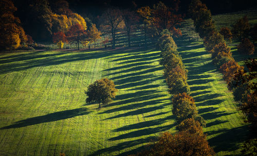 Scenic view of field