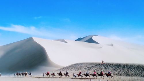 People riding camels on desert