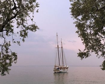 Sailing ship in sea against sky