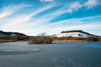 Biodiversity haff reimech, wetland  nature reserve  luxembourg, snow in winter 