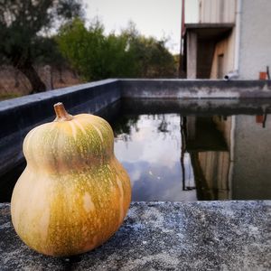 Close-up of pumpkin against railing