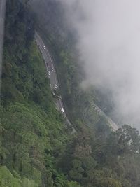 High angle view of road amidst trees against mountains