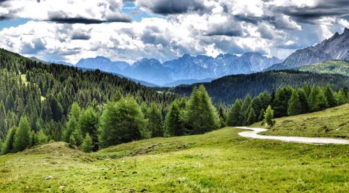 Scenic view of forest and mountains against sky