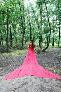 Rear view of woman walking amidst trees in forest