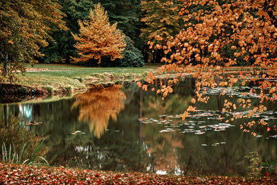 Scenic view of lake in forest during autumn