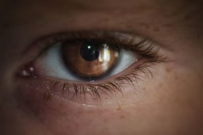 Extreme close-up of human eye