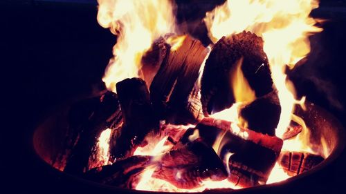 Close-up of bonfire at night